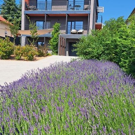 Profi Keco Apartman Balatonalmádi Dış mekan fotoğraf